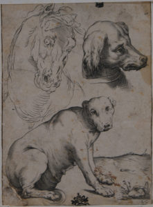 Un cane seduto e teste di cavallo e di cane 